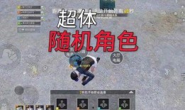 超体对抗的最新角色爆料,神秘新角色揭秘，力量与智慧的巅峰对决