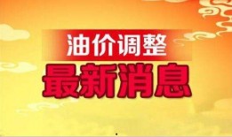 今日菜价爆料最新消息,最新市场动态一览