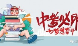 金婧最新爆料消息视频,揭秘娱乐圈惊人内幕！
